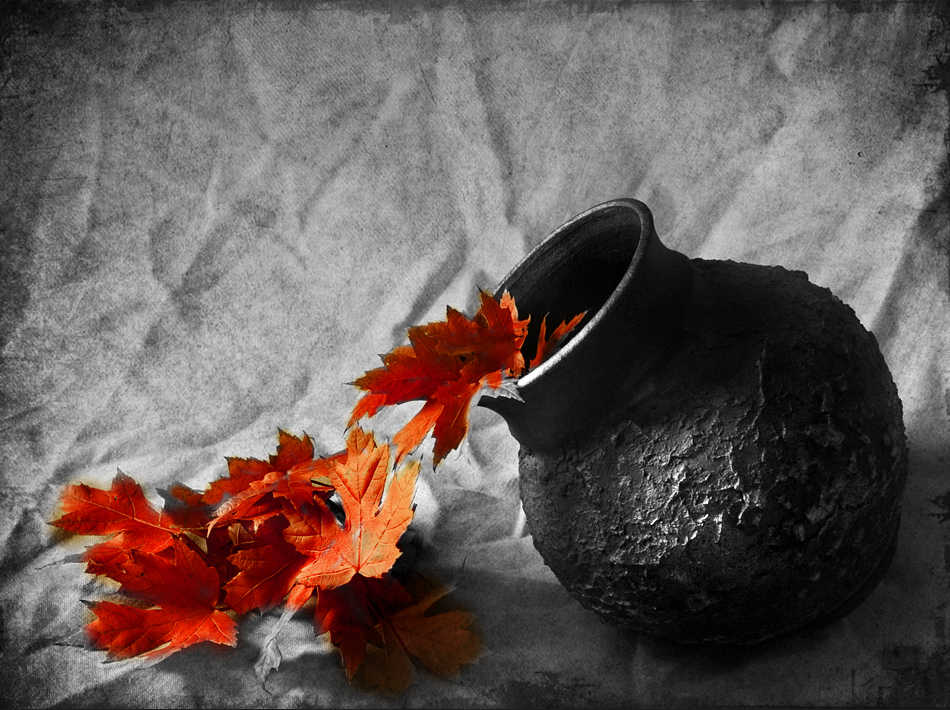 https://likeasilverlake.files.wordpress.com/2013/07/still-life-photography-black-and-white-with-color-01_2.jpg